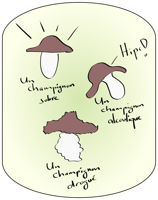 Trois champignons
